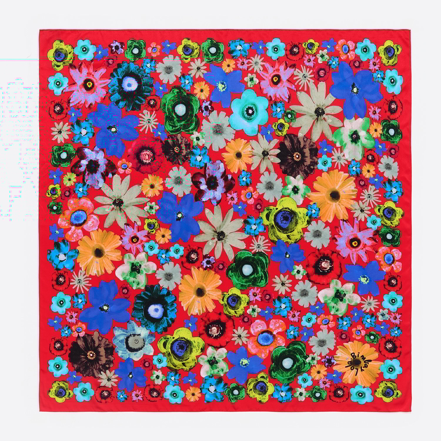 Photograph of BIMBA Y LOLA Red watercolor floral scarf