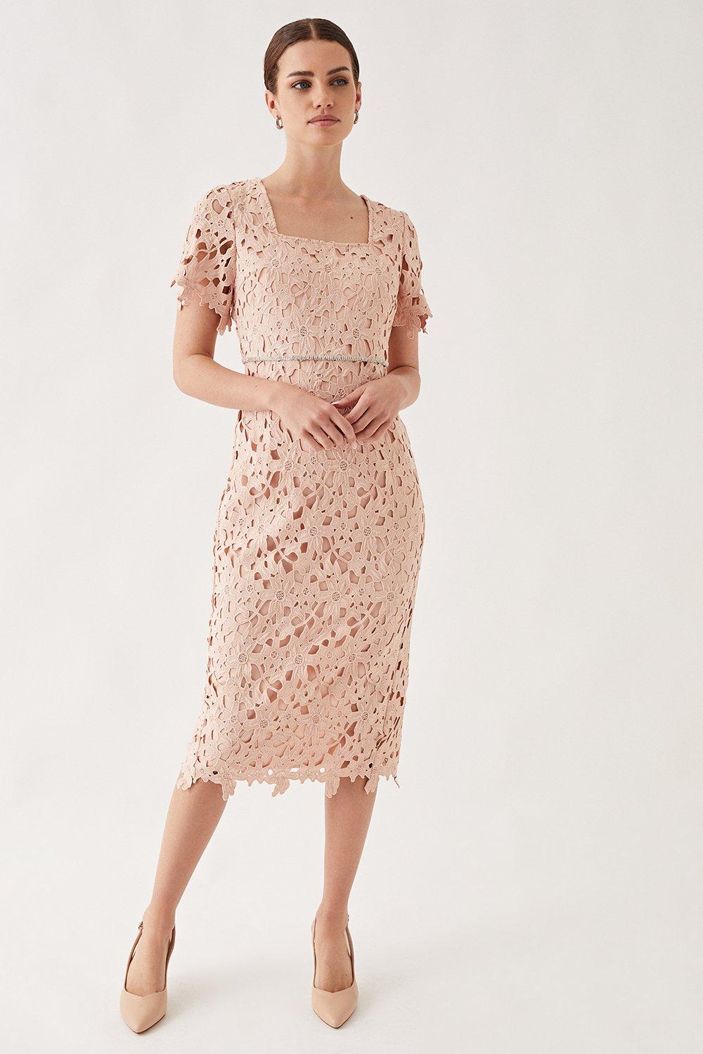 Photograph of Dorothy Perkins Womens Petite Lace Embellished Waist Cap Sleeve Midi Dress